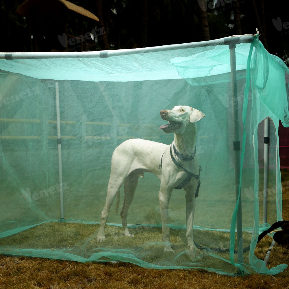 best Mosquito Net for Pets